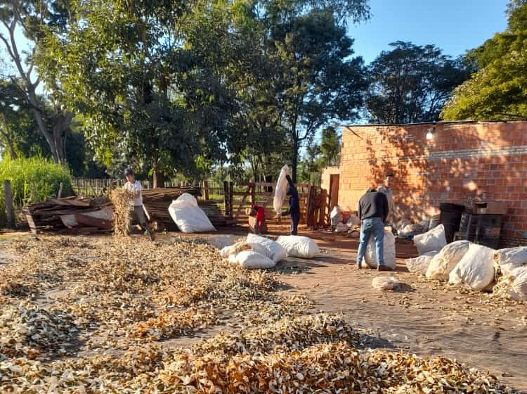 Lee más sobre el artículo Nuestra Huella: Colecta en General Resquin, Paraguay